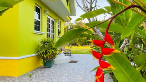 Green Villa