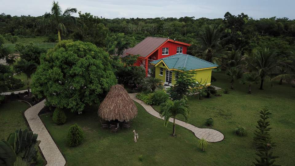 Luxury Jungle Resort