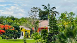 Upscale Tropical Getaway